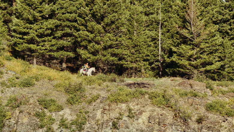 кадр из фильма Ковбои