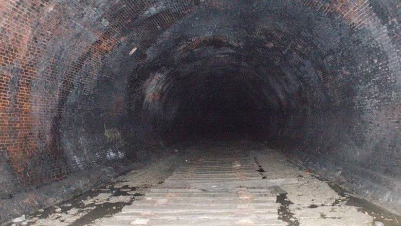 кадр из фильма Dwellers