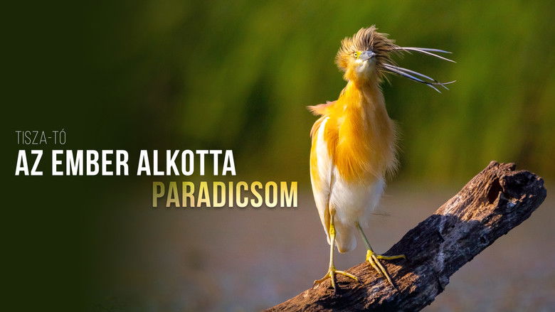 кадр из фильма Tisza-tó - Az ember alkotta paradicsom