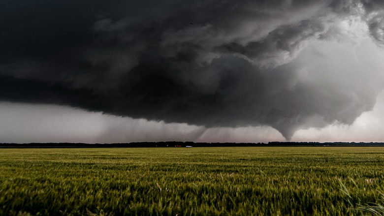 кадр из фильма Witness Disaster