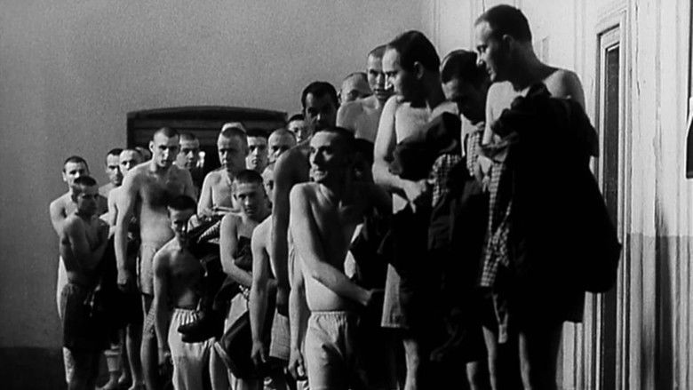 кадр из фильма Шутка