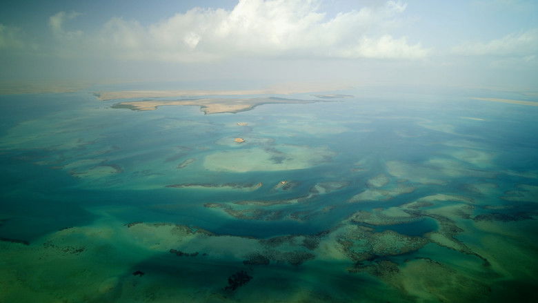 кадр из фильма هورايزن