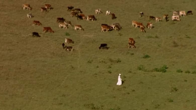 кадр из фильма नैनसुख