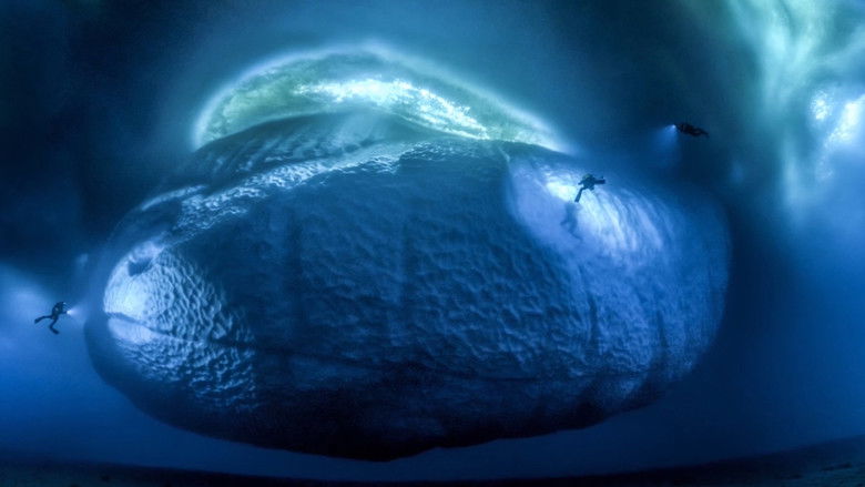 кадр из фильма Antarctica, sur les traces de l'empereur