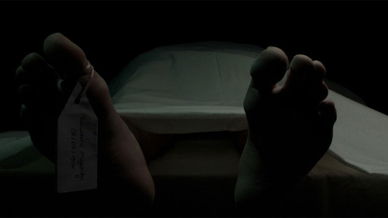 кадр из фильма Portrait of a Horse