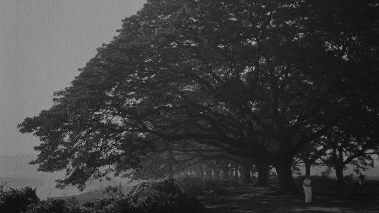 кадр из фильма Звезда за темной тучей