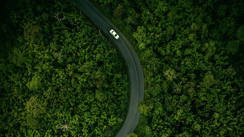 кадр из фильма Элегия Хиллбилли