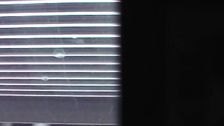 кадр из фильма tracks