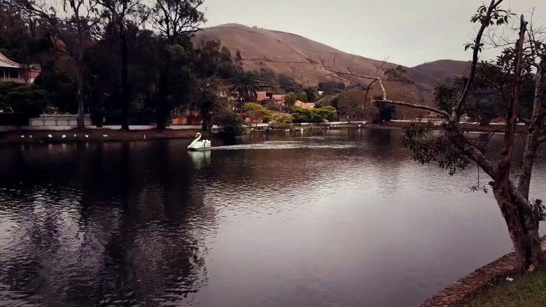 кадр из фильма Natureza