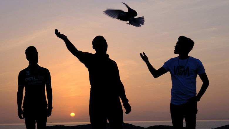 кадр из фильма Companion