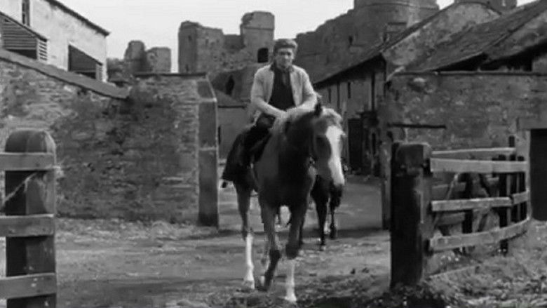 Whicker Meets - The Trainers