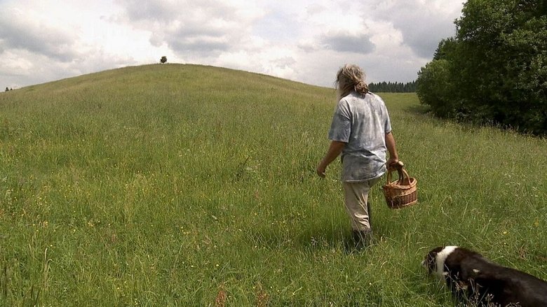 кадр из фильма Auf der Suche nach Heilern