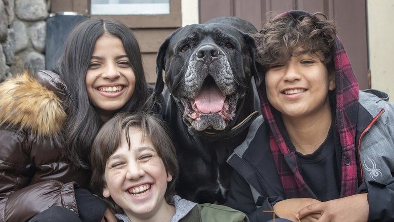 кадр из фильма Собачий патруль: Операция «Санта Лапкус»