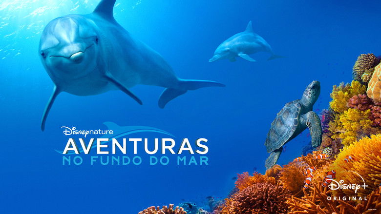 кадр из фильма Дельфиний риф