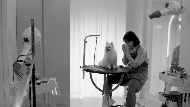 кадр из фильма 好狗命