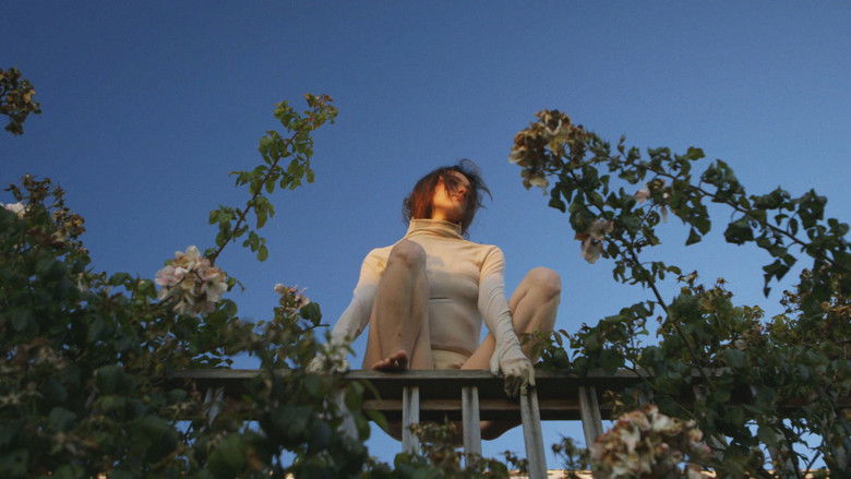 кадр из фильма Войлок