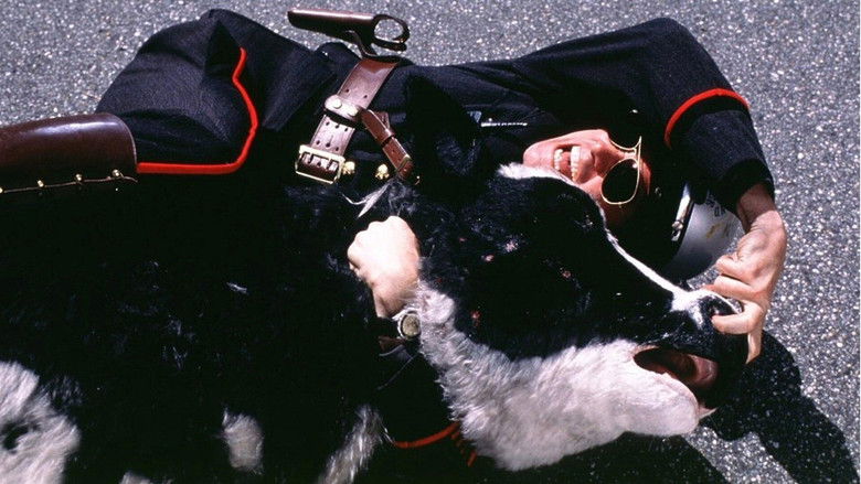 кадр из фильма Я, снова я и Ирэн