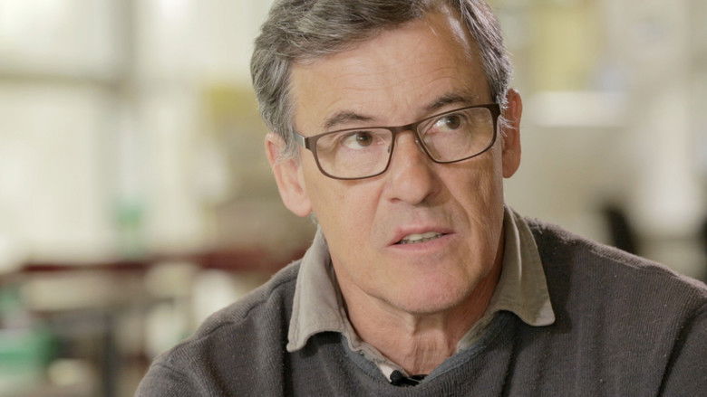 кадр из фильма Les sentinelles