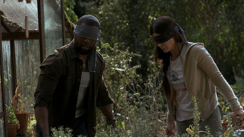 кадр из фильма Птичий короб