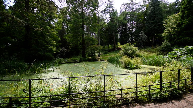 кадр из фильма SUMMER II