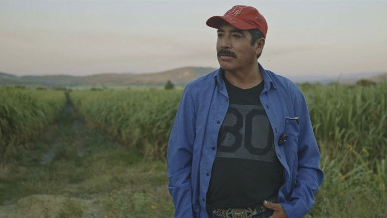 кадр из фильма Quicho