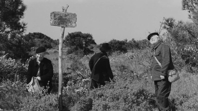 кадр из фильма Старая гвардия