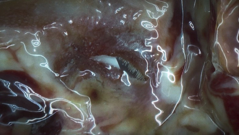 кадр из фильма SUPERCERDOS