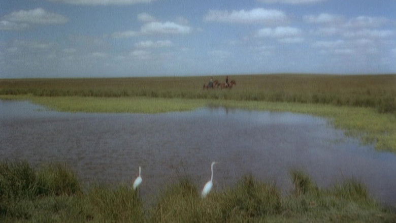 кадр из фильма Way of a Gaucho