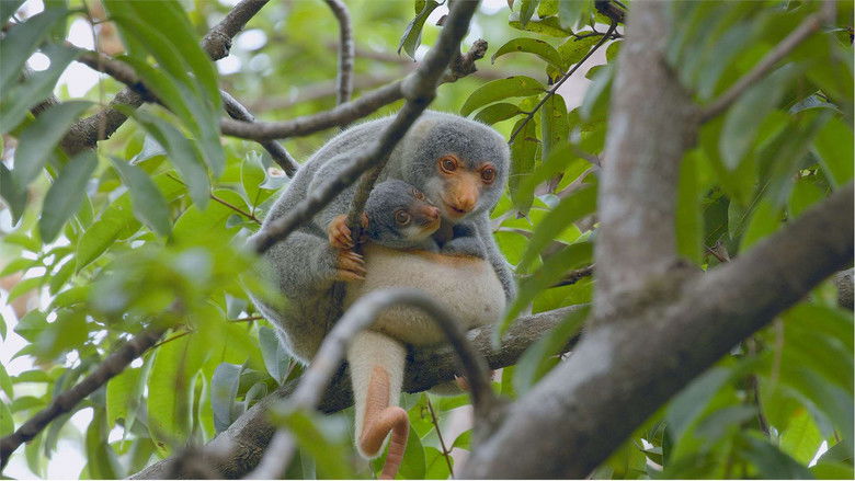кадр из фильма Australia's Land of the Ancients