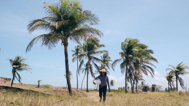 кадр из фильма Trajeto do Desmoronamento