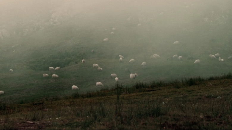 кадр из фильма Salvajes, El Cuento Del Lobo