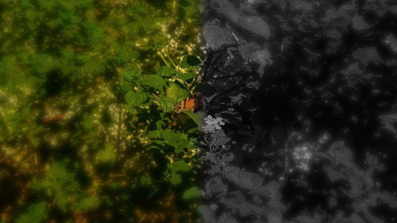 кадр из фильма Ambivalence