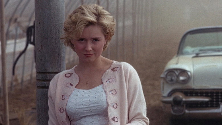 кадр из фильма Дикая орхидея 2: Два оттенка грусти