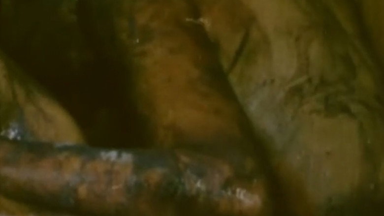 кадр из фильма 12/66: Cosinus Alpha