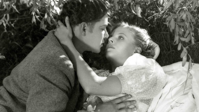 кадр из фильма Yövartija vain…