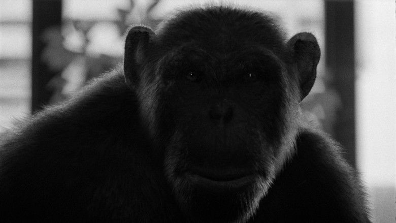 кадр из фильма A Dying Tree