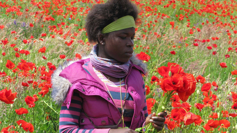 кадр из фильма Afrykański sen