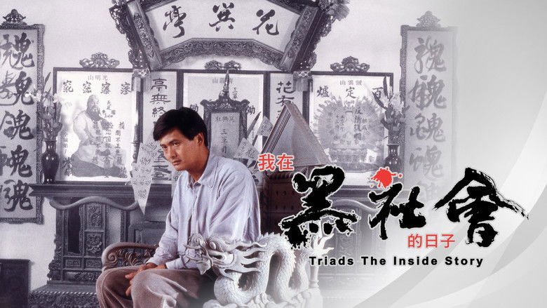 кадр из фильма Триады: Внутренние дела