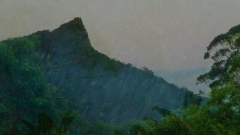 кадр из фильма Archipelago of Earthen Bones — To Bunya