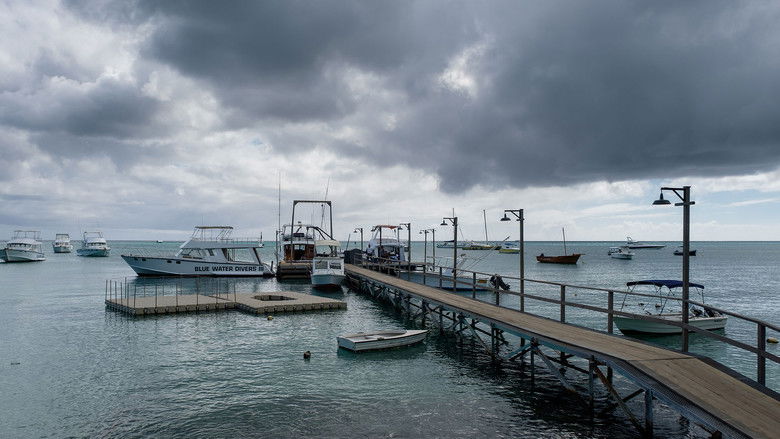 кадр из фильма Море соблазна