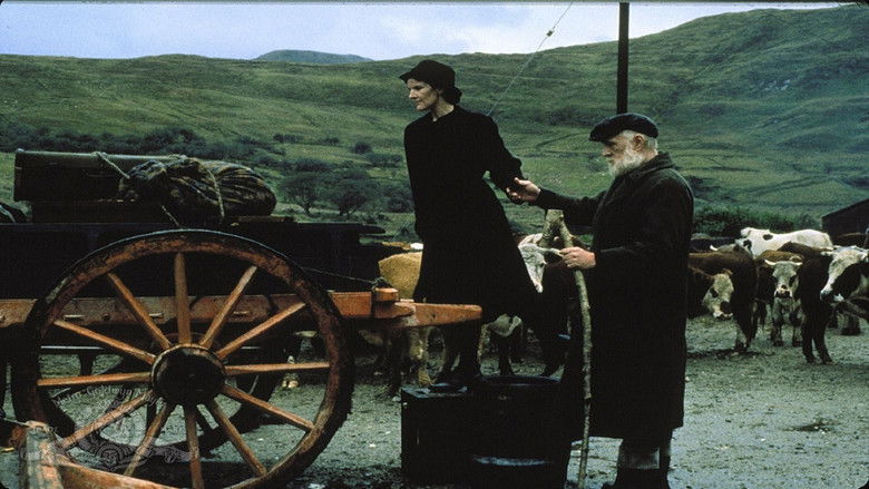 кадр из фильма Поле