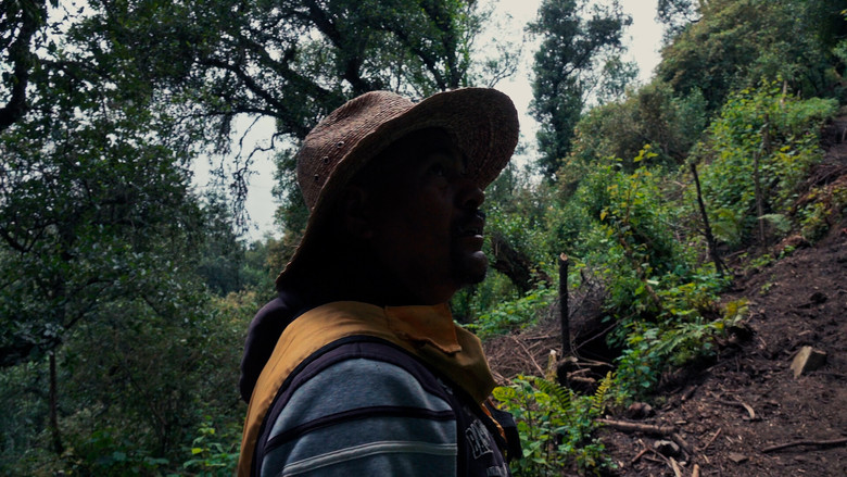 кадр из фильма Corazón de obsidiana