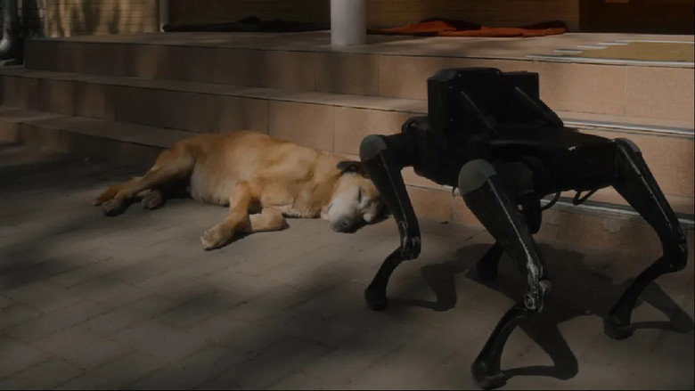 кадр из фильма Open World