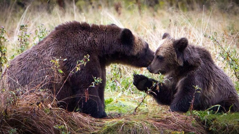 кадр из фильма The Price of the Prize