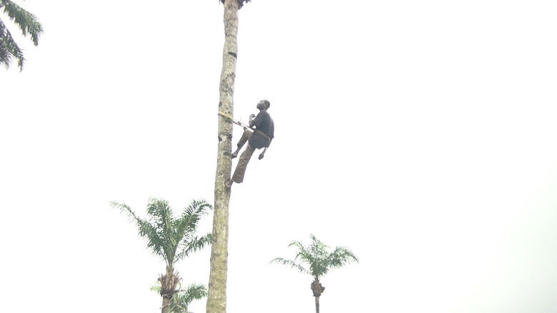 кадр из фильма White Cube