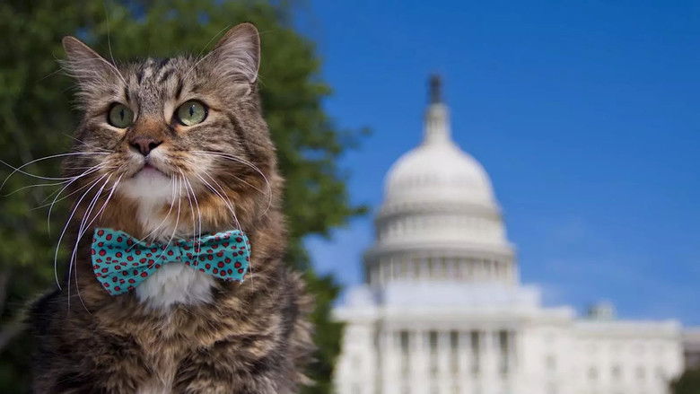 кадр из фильма Wild About Hank