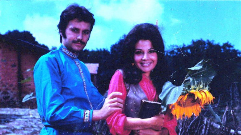 кадр из фильма Damdaki Kemancı