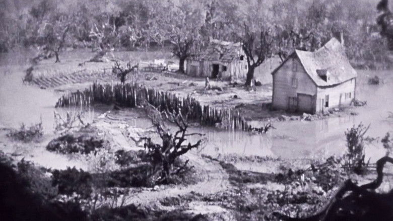 кадр из фильма Воробушки