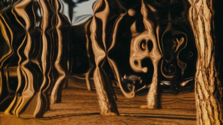 кадр из фильма Au bord du lac