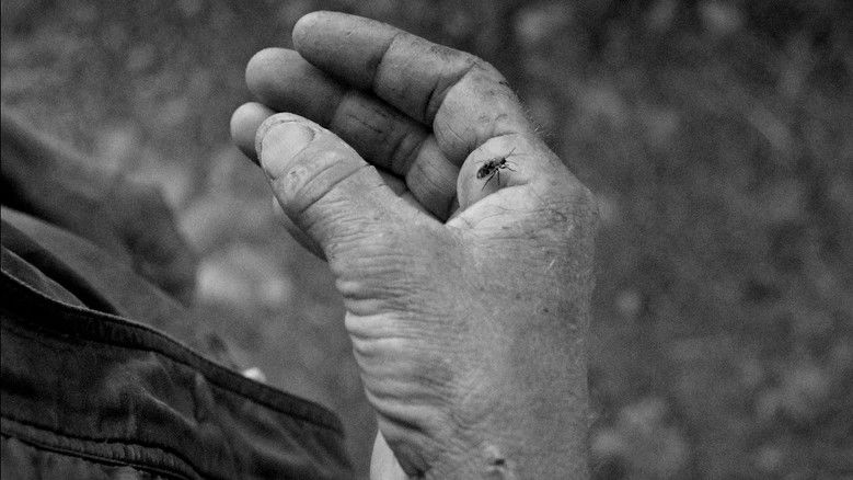 кадр из фильма Lueur de lune